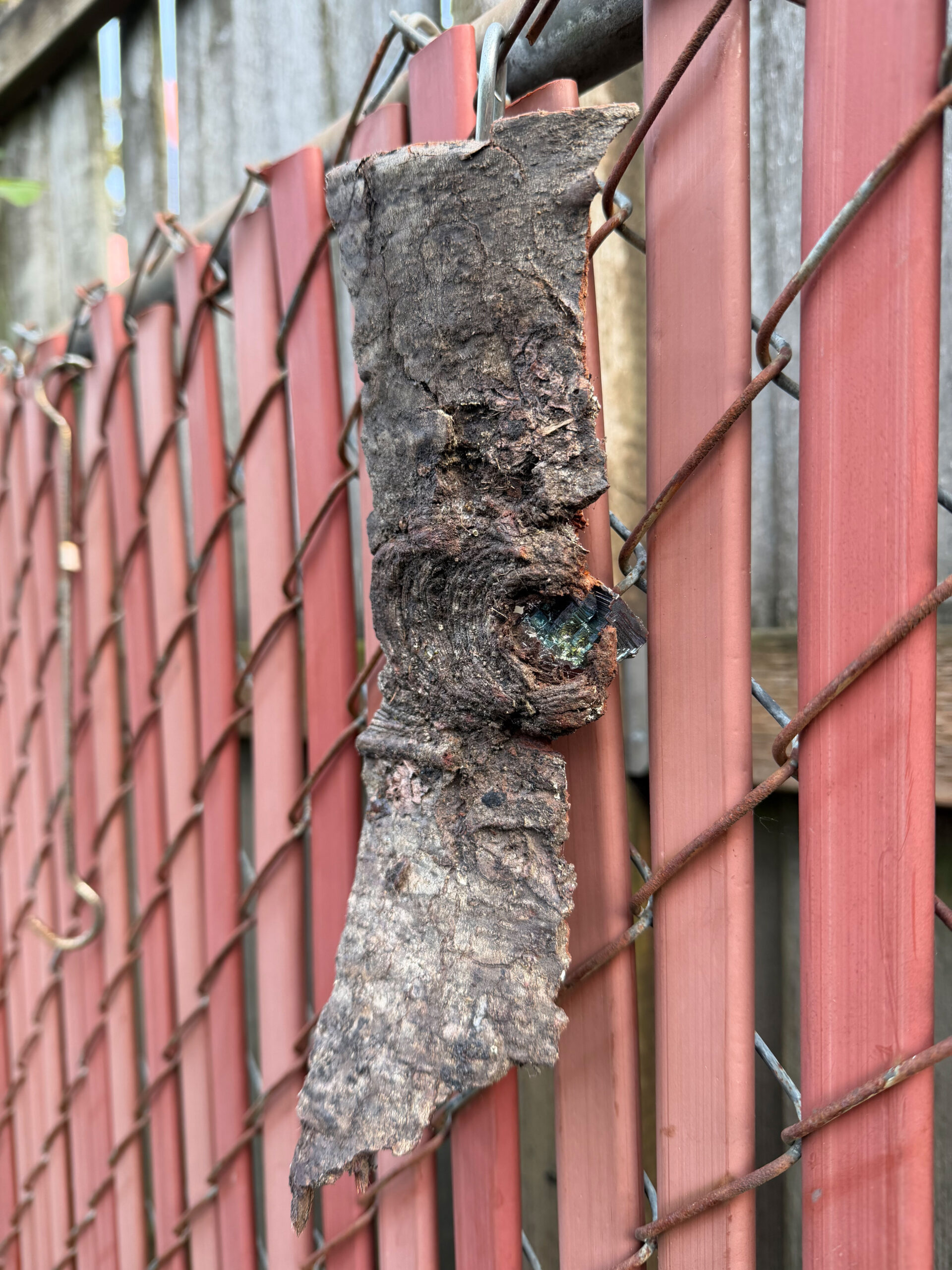 Bismuth-Gary-Menghini05-2